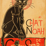 Le Chat Noah by Ben Geldenhuys